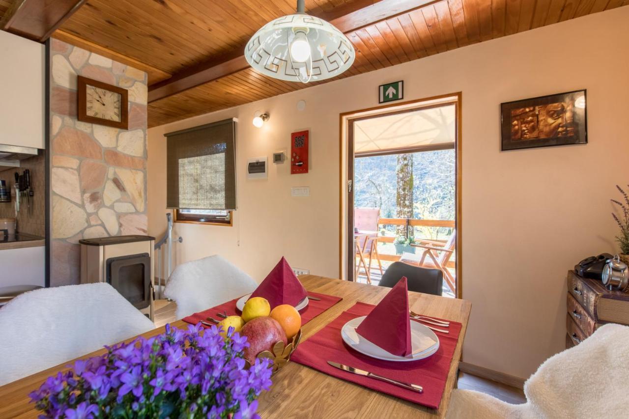 Vila Rozi, Osilnica - Vacation House Pr' Vili Rozi Exterior foto