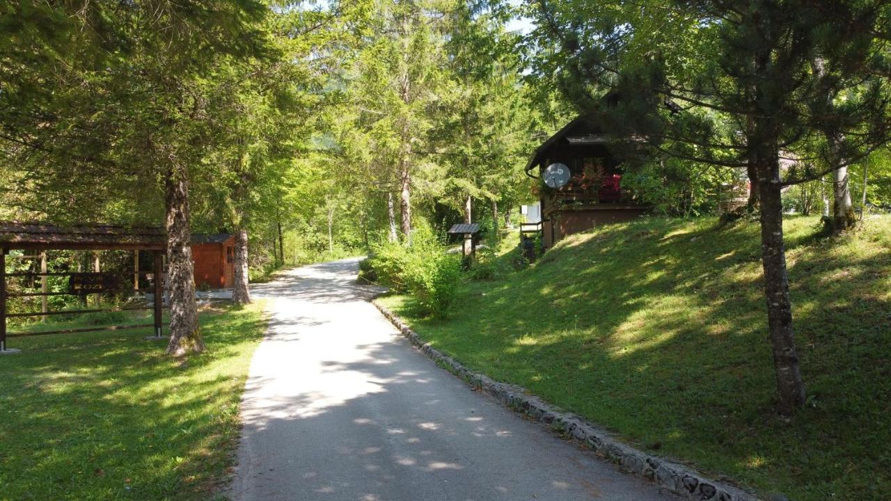 Vila Rozi, Osilnica - Vacation House Pr' Vili Rozi Exterior foto