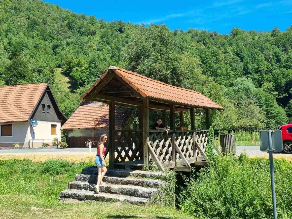 Vila Rozi, Osilnica - Vacation House Pr' Vili Rozi Exterior foto